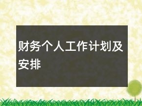 財務個人工作計劃及安排