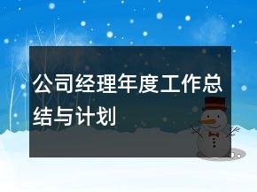 公司經(jīng)理年度工作總結(jié)與計劃