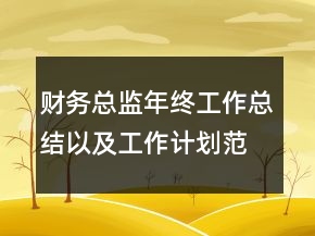 財務總監(jiān)年終工作總結以及工作計劃范文