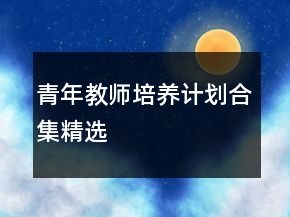 青年教師培養(yǎng)計劃合集精選