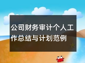 公司財(cái)務(wù)審計(jì)個(gè)人工作總結(jié)與計(jì)劃范例