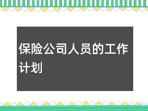 保險(xiǎn)公司人員的工作計(jì)劃