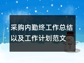 采購(gòu)內(nèi)勤終工作總結(jié)以及工作計(jì)劃范文