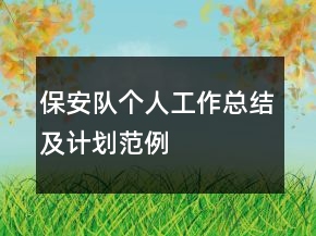 保安隊(duì)個(gè)人工作總結(jié)及計(jì)劃范例