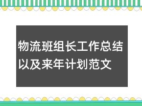 物流班組長工作總結(jié)以及來年計劃范文
