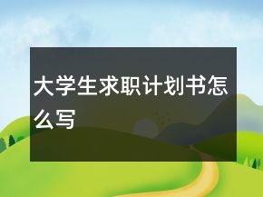 大學生求職計劃書怎么寫