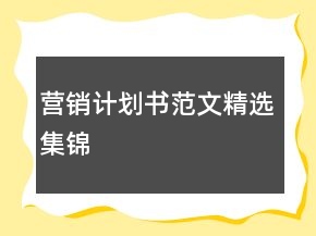營銷計劃書范文精選集錦
