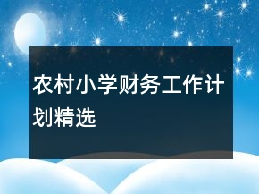 農(nóng)村小學(xué)財務(wù)工作計劃精選