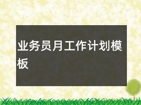 業(yè)務(wù)員月工作計劃模板