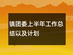 鎮(zhèn)團(tuán)委上半年工作總結(jié)以及計(jì)劃