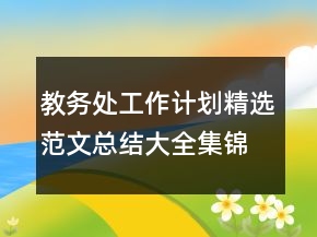 教務(wù)處工作計劃精選范文總結(jié)大全集錦