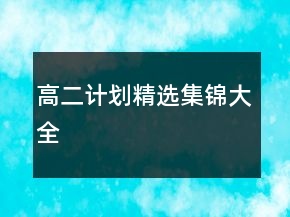 高二計(jì)劃精選集錦大全