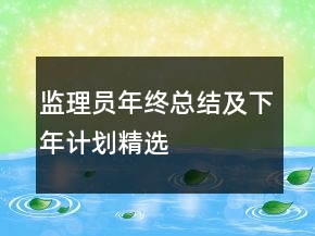 監(jiān)理員年終總結(jié)及下年計(jì)劃精選