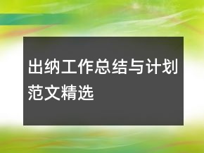出納工作總結(jié)與計(jì)劃范文精選