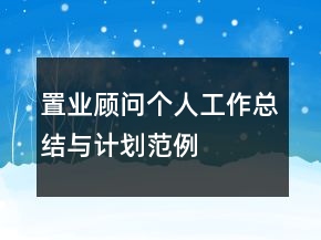 置業(yè)顧問個人工作總結(jié)與計(jì)劃范例
