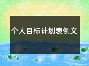 個人目標(biāo)計劃表例文