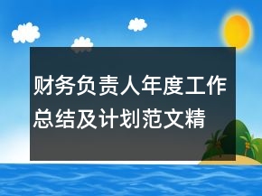 財務(wù)負(fù)責(zé)人年度工作總結(jié)及計劃范文精選