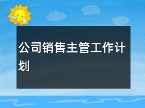 公司銷售主管工作計劃