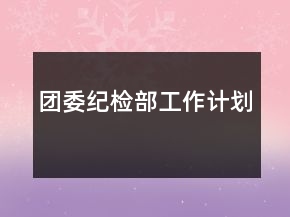 團(tuán)委紀(jì)檢部工作計(jì)劃