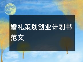 婚禮策劃創(chuàng)業(yè)計(jì)劃書范文