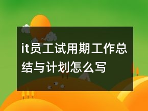 it員工試用期工作總結(jié)與計(jì)劃怎么寫