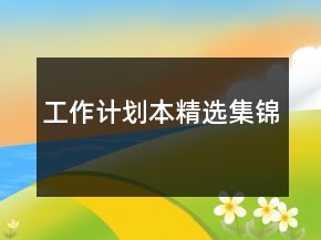 工作計(jì)劃本精選集錦