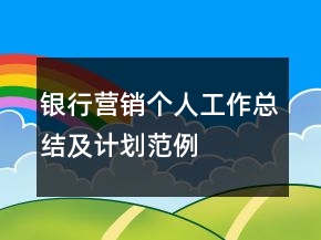 銀行營(yíng)銷個(gè)人工作總結(jié)及計(jì)劃范例
