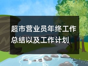 超市營業(yè)員年終工作總結(jié)以及工作計劃范文