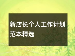 新店長(zhǎng)個(gè)人工作計(jì)劃范本精選