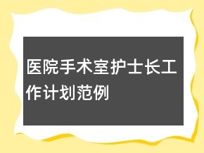 醫(yī)院手術(shù)室護(hù)士長(zhǎng)工作計(jì)劃范例