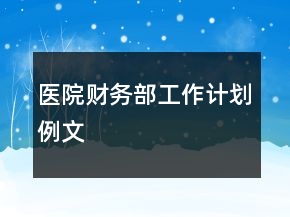 醫(yī)院財(cái)務(wù)部工作計(jì)劃例文