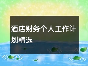 酒店財務(wù)個人工作計劃精選