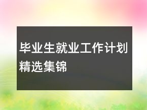 畢業(yè)生就業(yè)工作計(jì)劃精選集錦