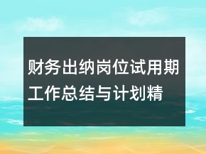 財(cái)務(wù)出納崗位試用期工作總結(jié)與計(jì)劃精選