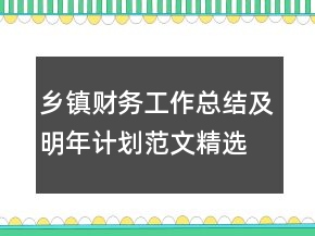 鄉(xiāng)鎮(zhèn)財(cái)務(wù)工作總結(jié)及明年計(jì)劃范文精選