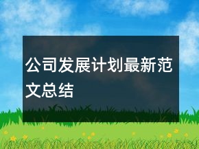 公司發(fā)展計(jì)劃最新范文總結(jié)