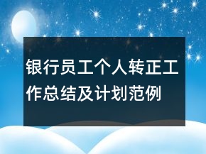 銀行員工個人轉(zhuǎn)正工作總結及計劃范例