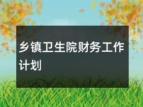 鄉(xiāng)鎮(zhèn)衛(wèi)生院財務(wù)工作計劃