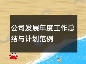 公司發(fā)展年度工作總結(jié)與計劃范例