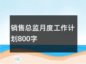 銷售總監(jiān)月度工作計(jì)劃800字