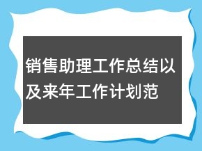 銷售助理工作總結(jié)以及來年工作計劃范文