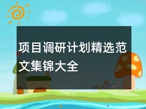 項目調(diào)研計劃精選范文集錦大全