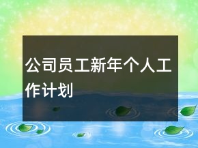 公司員工新年個(gè)人工作計(jì)劃