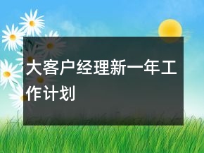 大客戶經(jīng)理新一年工作計劃