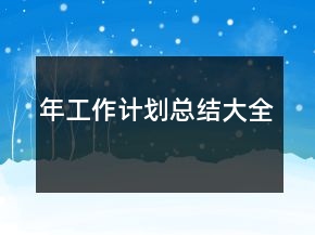 年工作計(jì)劃總結(jié)大全