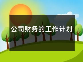 公司財務(wù)的工作計劃