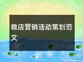 微店營銷活動策劃范文