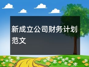 新成立公司財(cái)務(wù)計(jì)劃范文