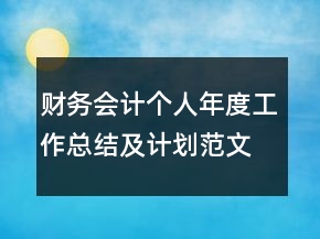 財(cái)務(wù)會(huì)計(jì)個(gè)人年度工作總結(jié)及計(jì)劃范文精選