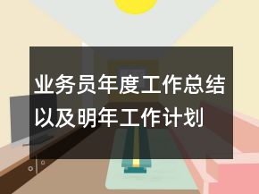 業(yè)務(wù)員年度工作總結(jié)以及明年工作計劃范文